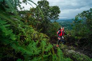 BIB: 
                            <button type="button" onclick="openModal(26196665)" class="btn btn-primary btn-sm float-right btn-popup" data-toggle="modal" data-target=".modal-high-quality">
                        <i class="fas fa-shopping-cart"></i> Add to Cart
                    </button>
                                            <button type="button" onclick="isThisMe(26196665, true)" class="btn btn-success btn-sm float-right btn-popup btn-isme hidden" data-toggle="tooltip" data-placement="bottom" title="นี่คือรูปของคุณใช่ไหม คลิกที่นี่เพื่อเอาเข้าอัลบั้ม">
                        <i class="fas fa-plus"></i> Add to album
                    </button>
                    <button type="button" onclick="isThisMe(26196665, false)" class="btn btn-warning btn-sm float-right btn-popup btn-isnotme hidden">
                        <i class="fas fa-ban"></i> Remove from album
                    </button>